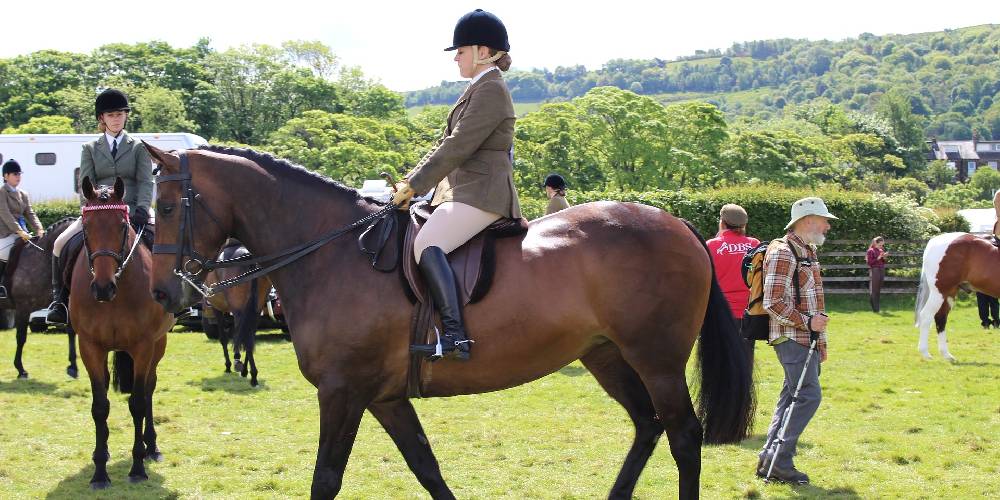 Schooling Shows What Are They? Insider Horse Latest & Greatest