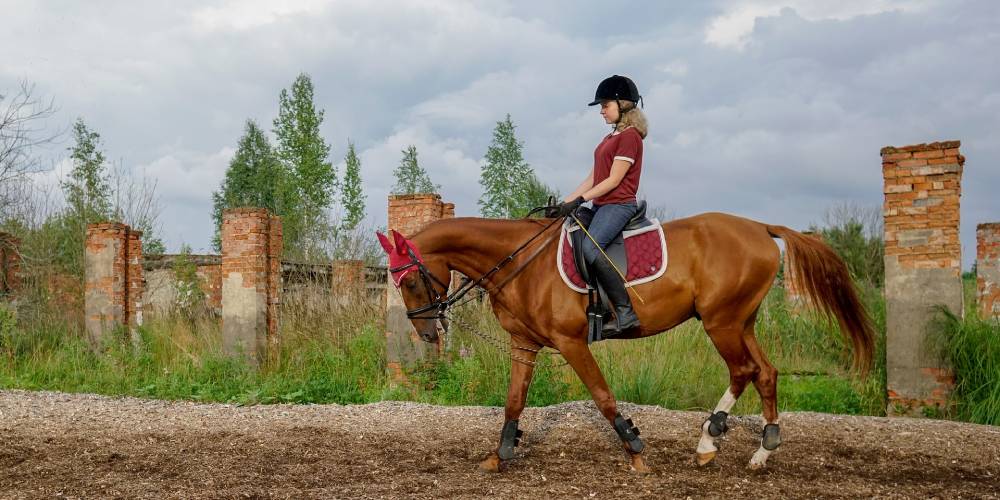 What Does The Word “Equitation” Mean? Definition Of This Equestrian