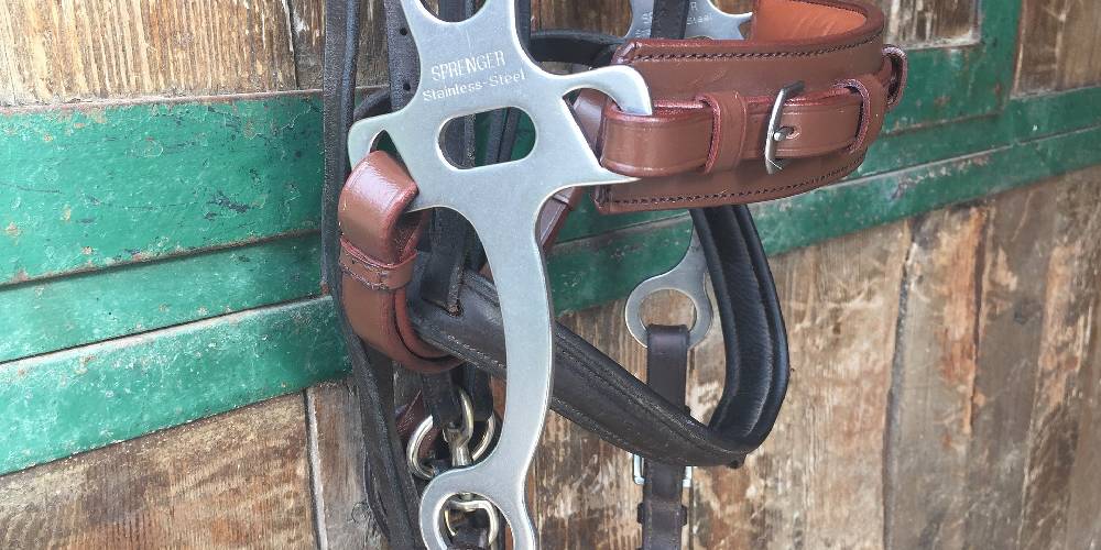 What Is A Hackamore? Bitless Bridles & What They’re Used For Insider