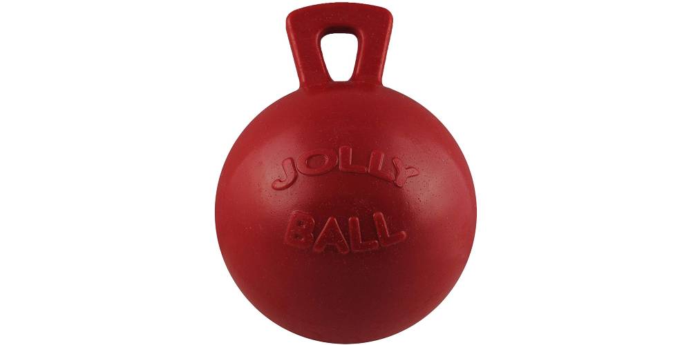 5 Best Toys To Prevent Horse Boredom Insider Horse Latest