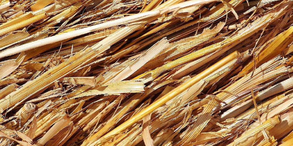 3 Types Of Stall Beddings For Horses Pros & Cons Of Each Product