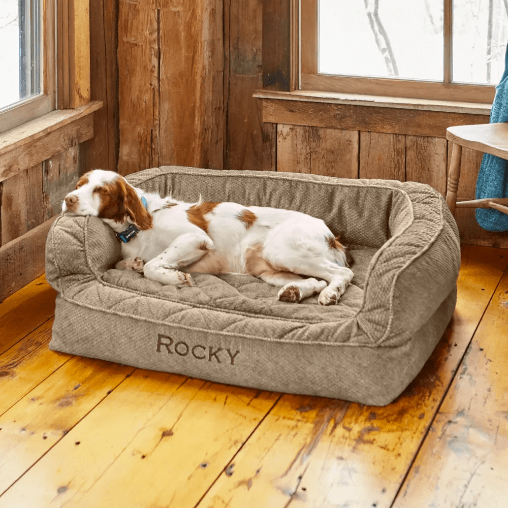 The 4 Best Dog Beds of 2023, Tested and Reviewed