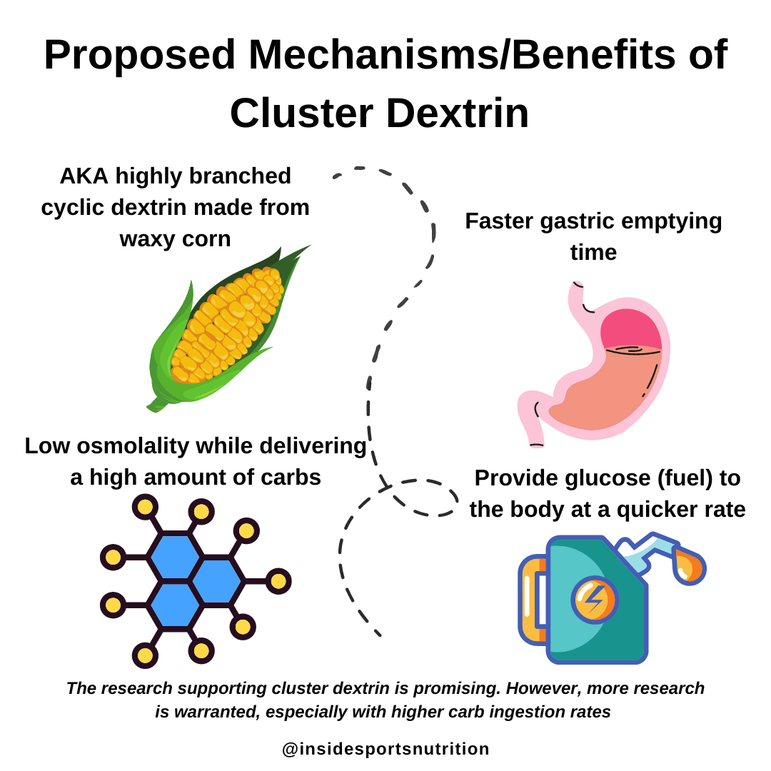 Proposed mechanisms and benefits of cluster dextrin INSIDE SPORTS