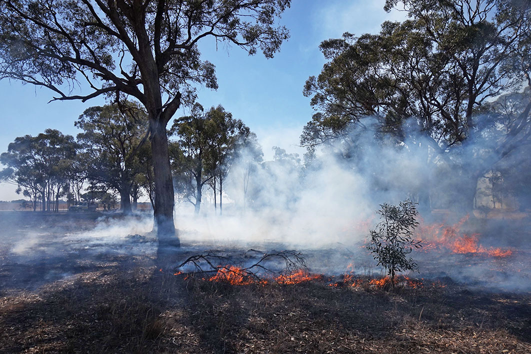 What are whitefellas talking about when we talk about “cultural burning