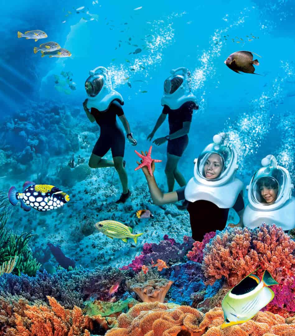 Video Update Progress continues on Discovery Cove's Grand