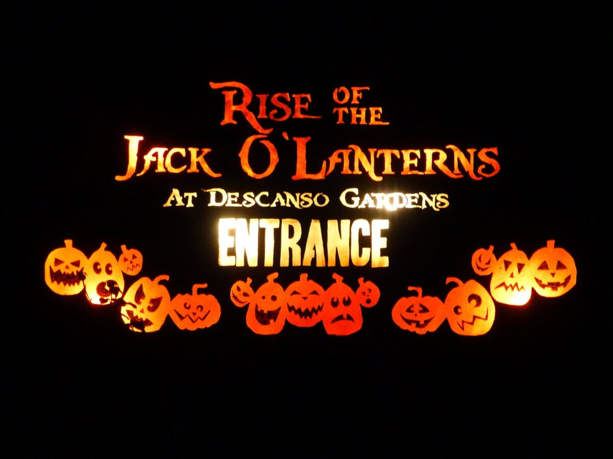 Rise of the Jack OLanterns returns to Los Angeles with impressive Halloween walkthrough
