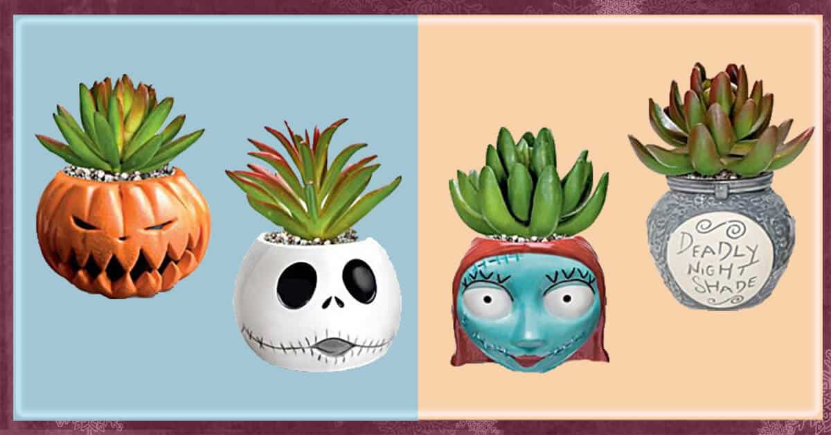 Adorable ‘Nightmare Before Christmas’ Succulents Inside the Magic