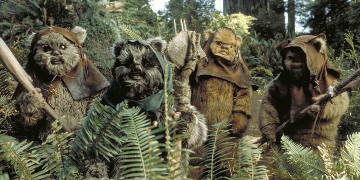 VIDEO Adorable Monkey Resembles 'Star Wars' Ewok! Inside the Magic