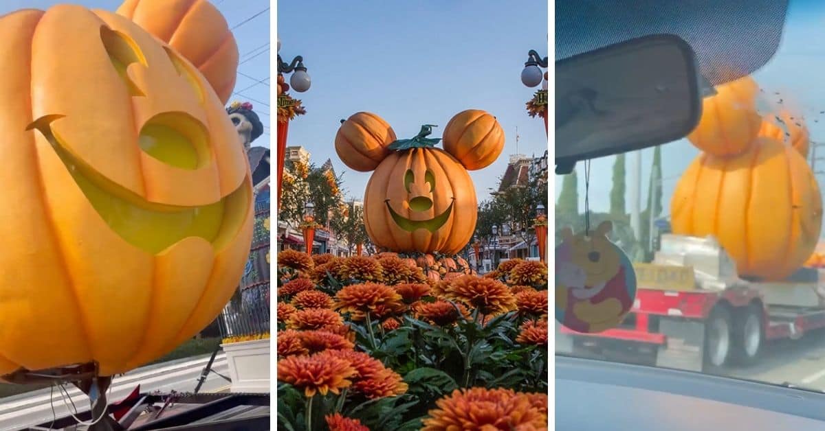 Guests Spot Iconic Halloween Decor On Its Way to Disneyland Inside