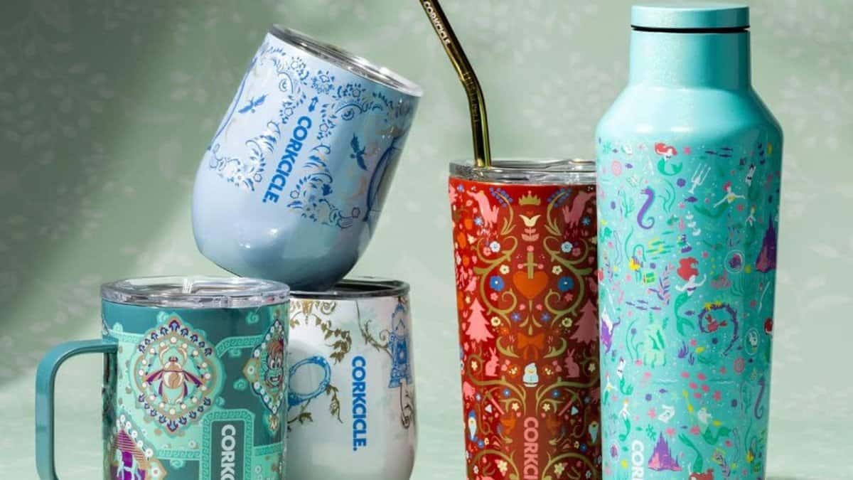 The Best Reusable Water Bottles for Disney 2024 Inside the Magic