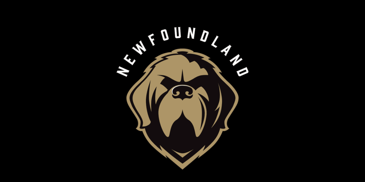 ECHL Growlers Playoff Spot Run Inside The Rink