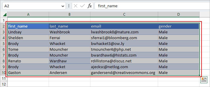 How to Copy Filtered Data in Excel