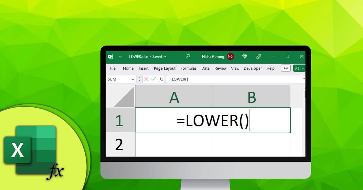 How to Use LOWER Function in Excel