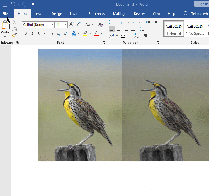 How to Mirror (Flip) an Image in Microsoft Word