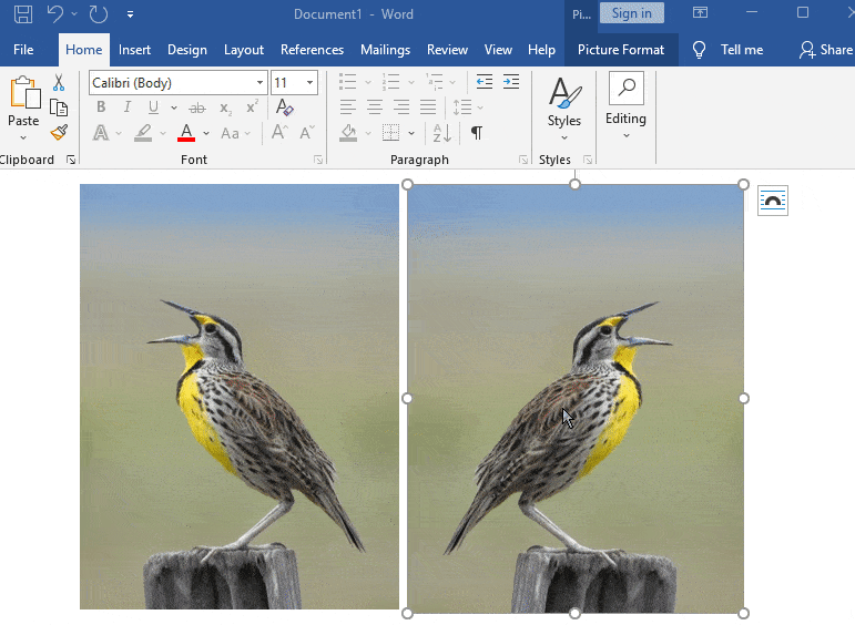 How to Mirror (Flip) an Image in Microsoft Word