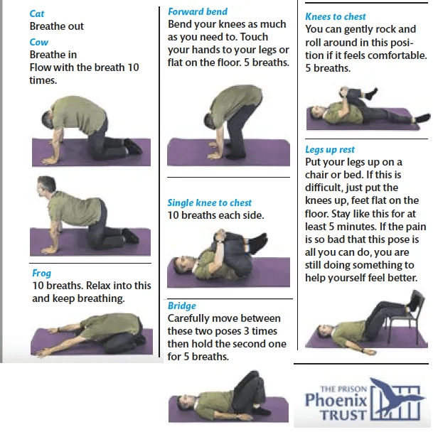 Yoga for back pain insidetime & insideinformation