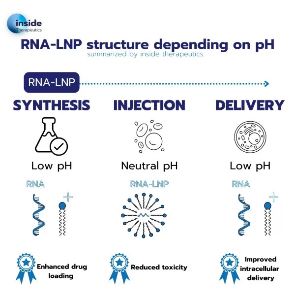 Ionizable lipids key role in novel RNAlipid nanoparticle therapies