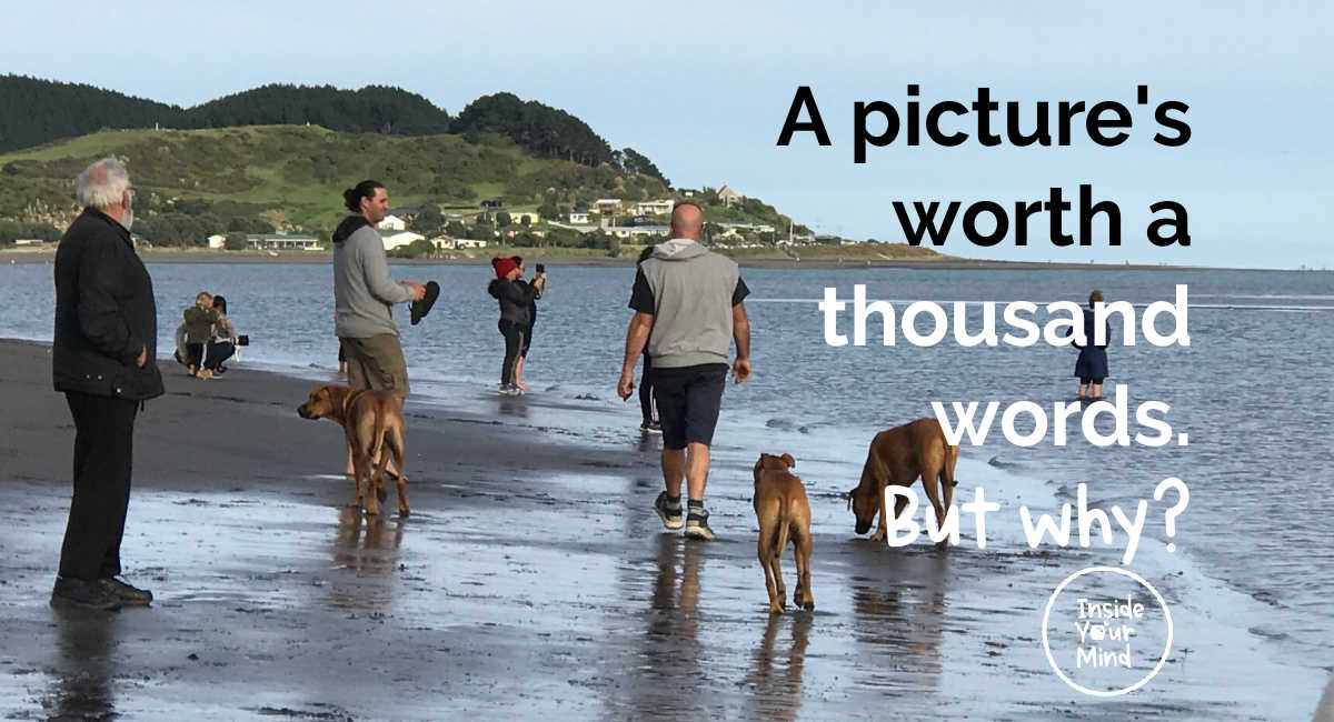 A Thousand Words A Picture Is Worth A Thousand Words” The