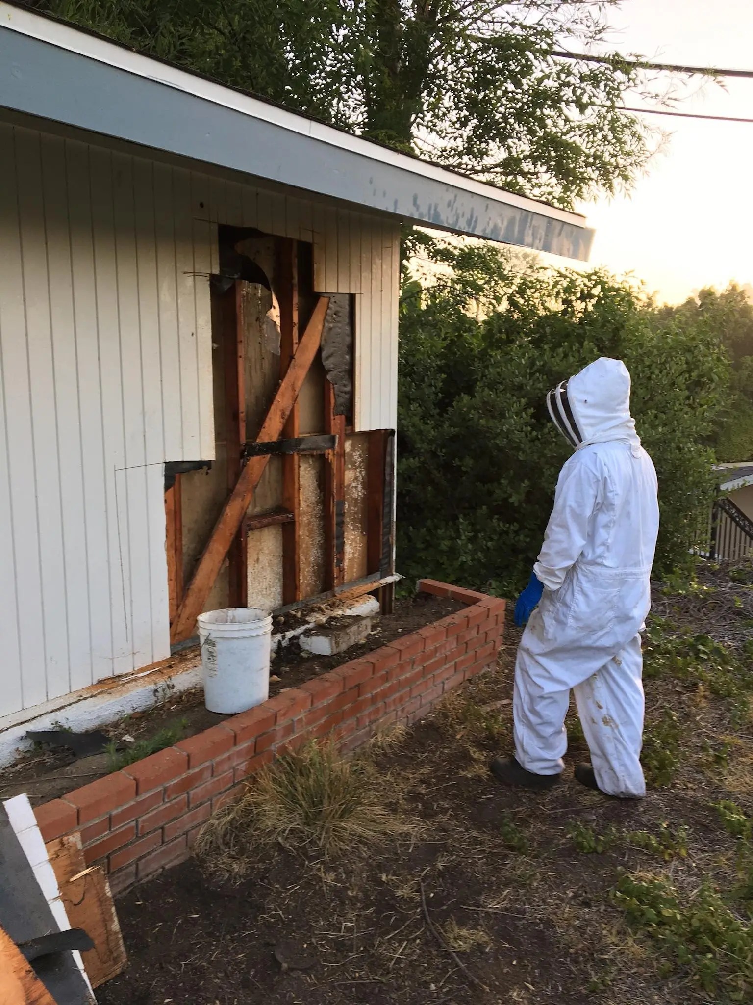 Gallery • Insight Pest Management™