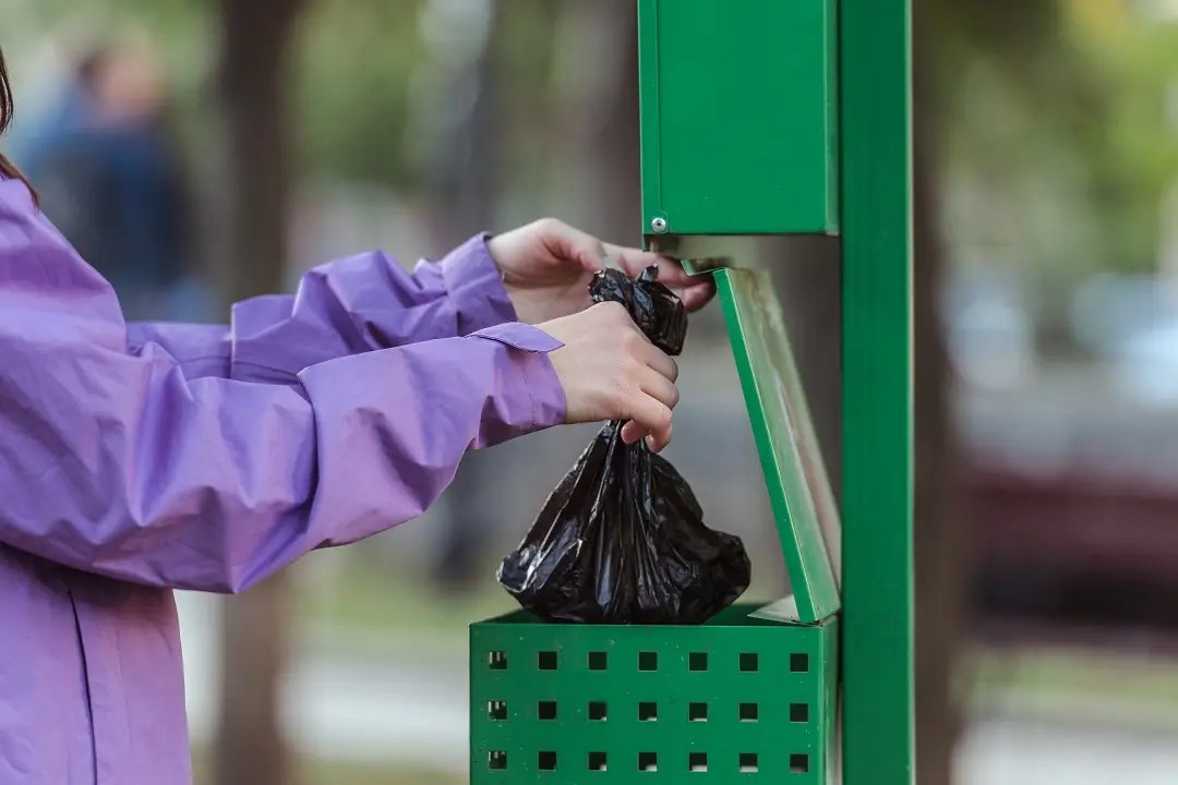 How to Keep Maggots Out of Your Trash Can Insight Pest Management™
