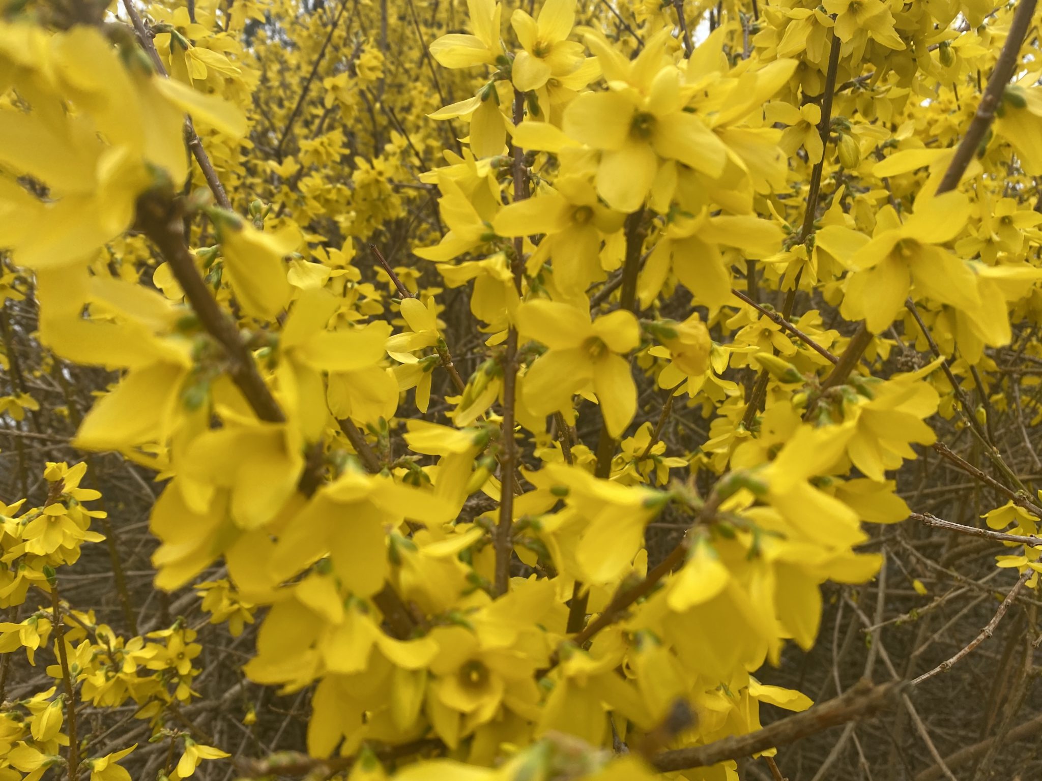 A Blessing from ANAM CARA, A Book of Celtic Wisdom by John A Blessing from ANAM CARA, A Book of Celtic Wisdom by John