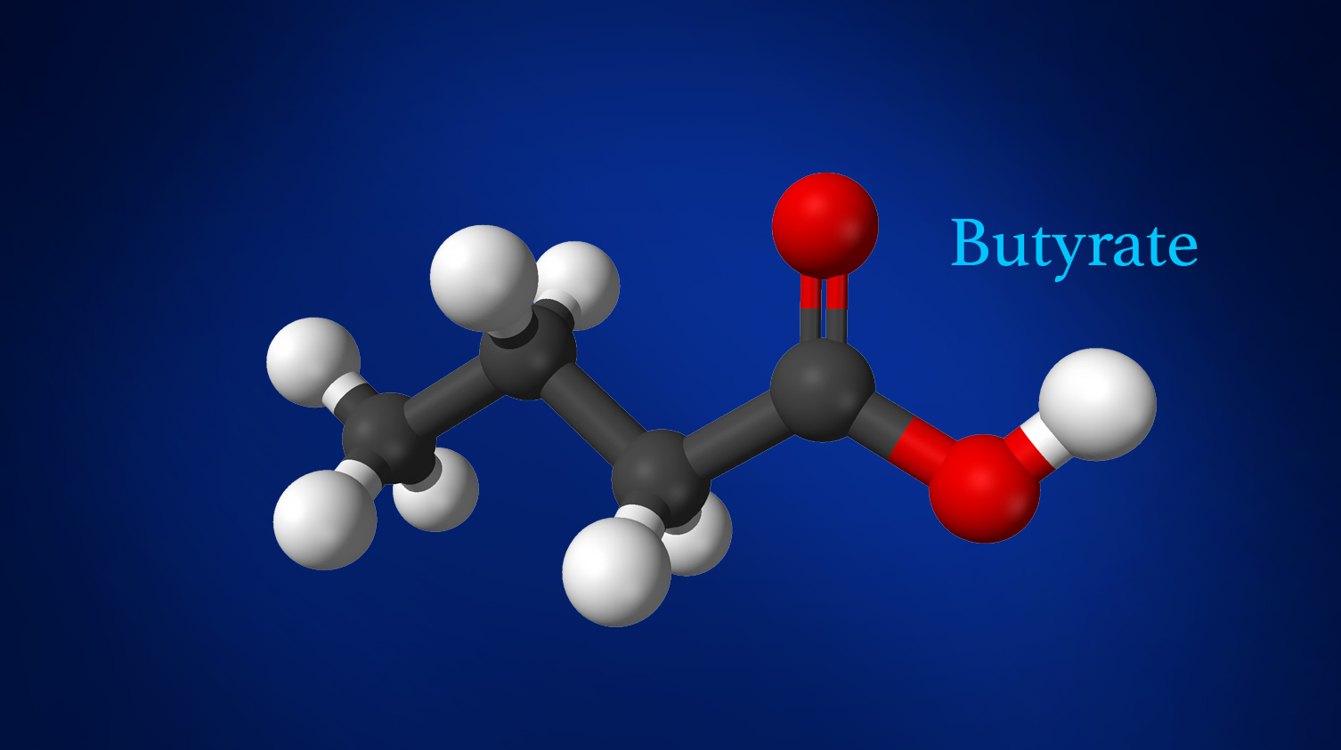Taking a look at short chain fatty acid (SCFA) butyrate Microba