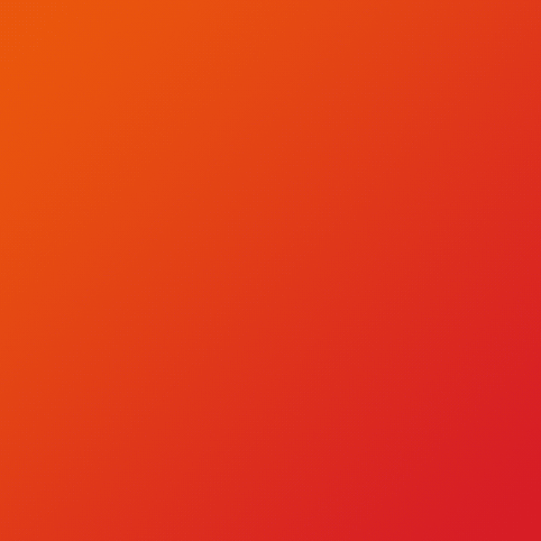 University in Port Macquarie study by the beach Insight