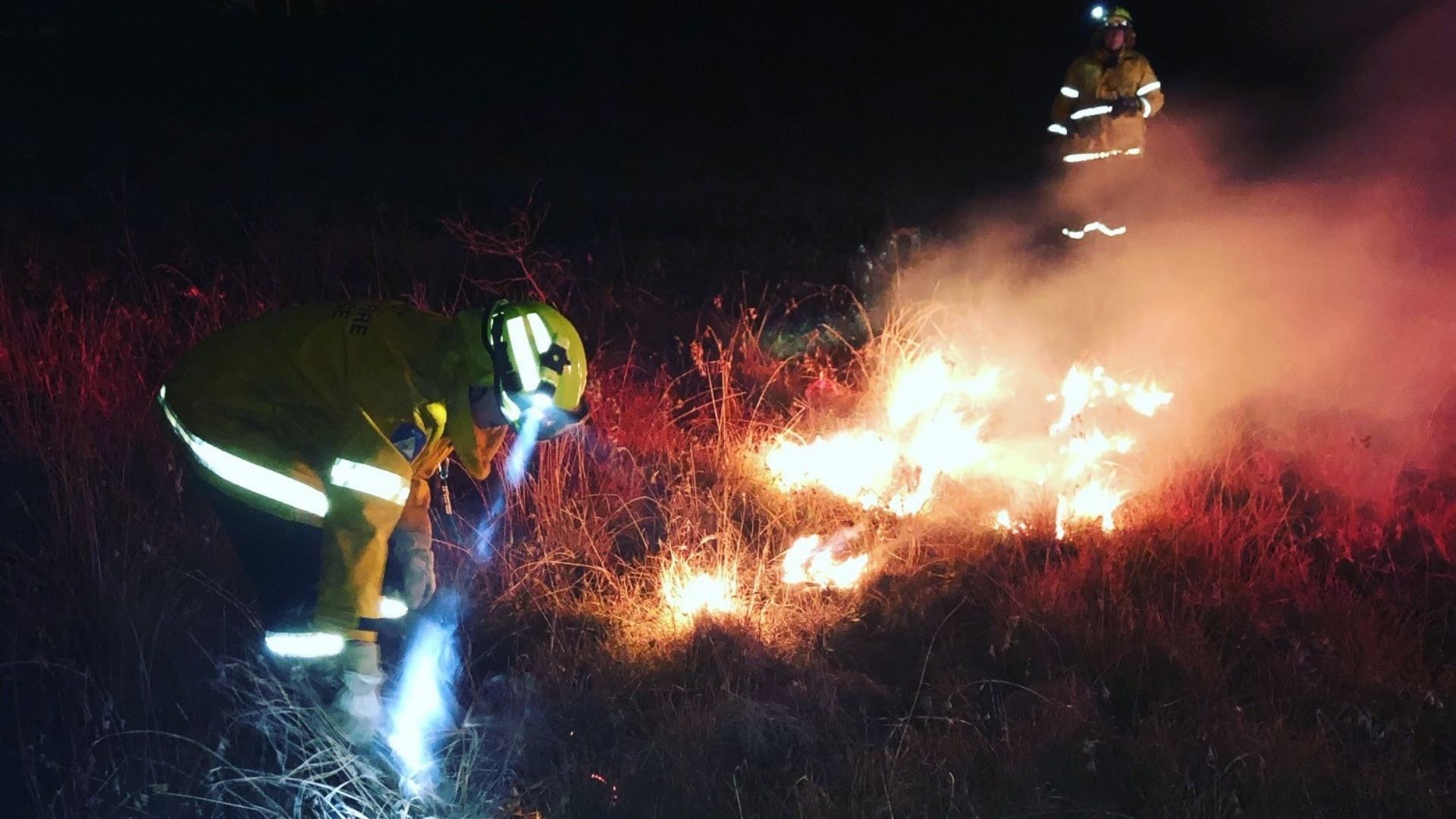 What are the benefits of controlled burning? Charles Sturt University