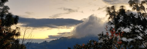 Find the Hottest somali OnlyFans Content Explore Exclusive Posts and