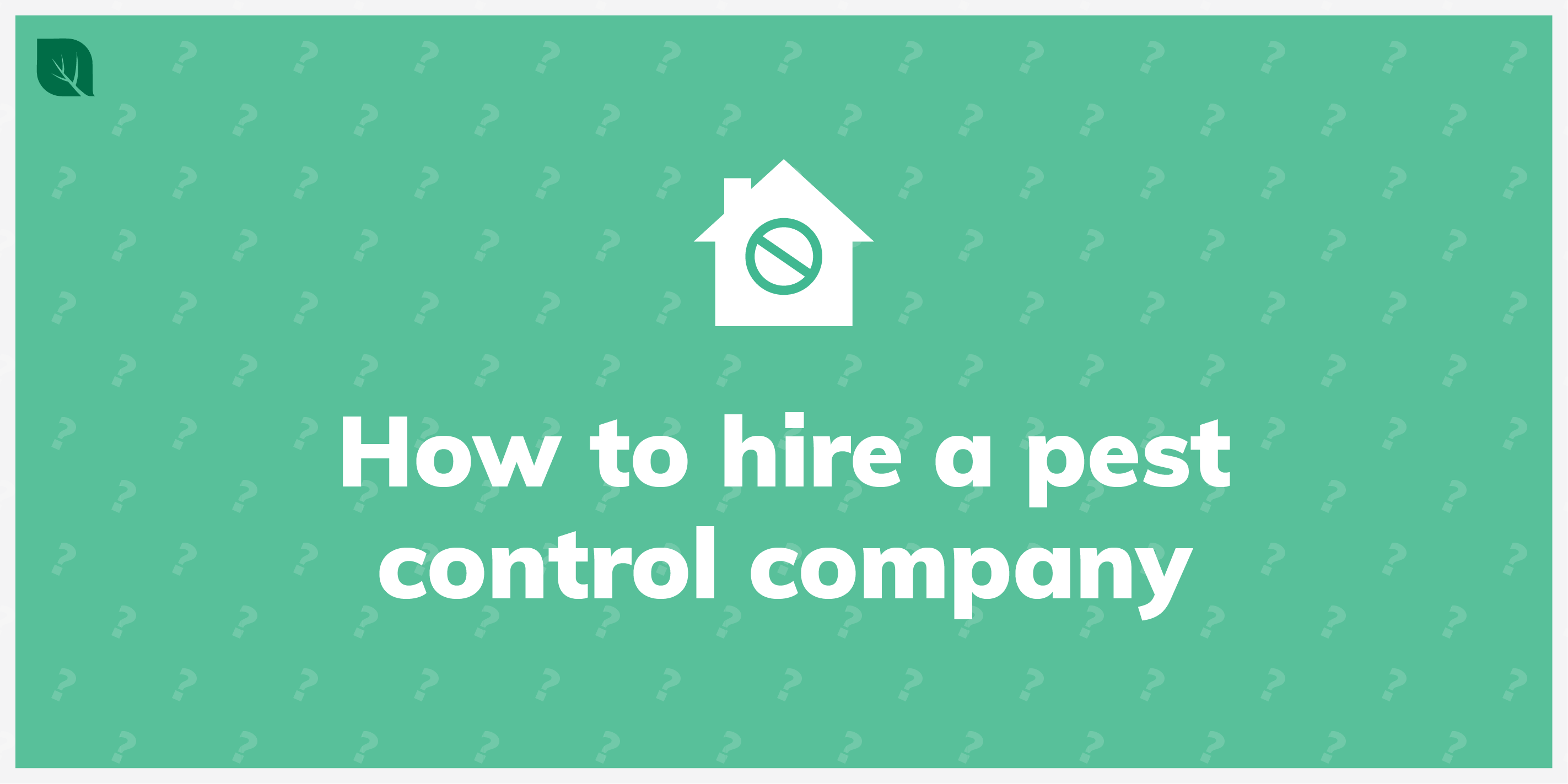 How To Hire A Pest Control Company Insight Pest Control