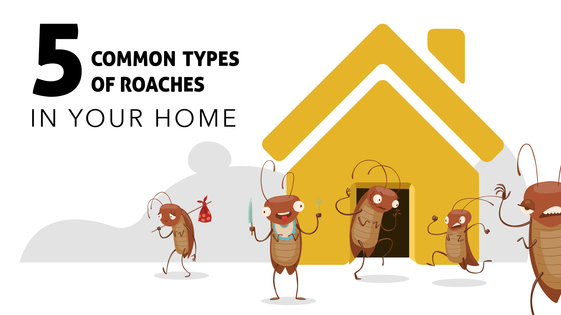 5 Common Types of Roaches in Your Home Insight Pest Solutions