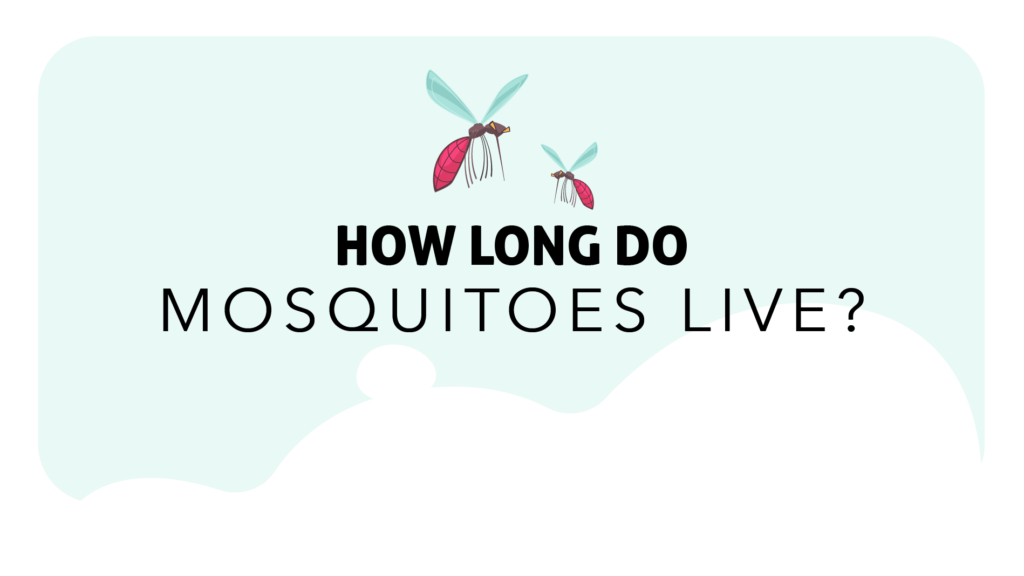 Insight Pest Solutions Canada LinkedIn