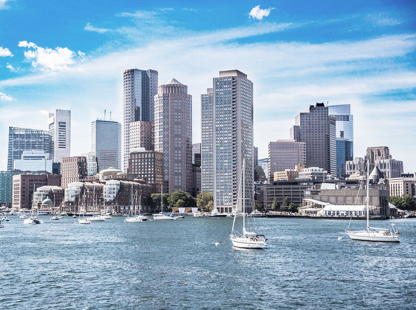 Pest Control Boston Insight Pest Solutions Local Service