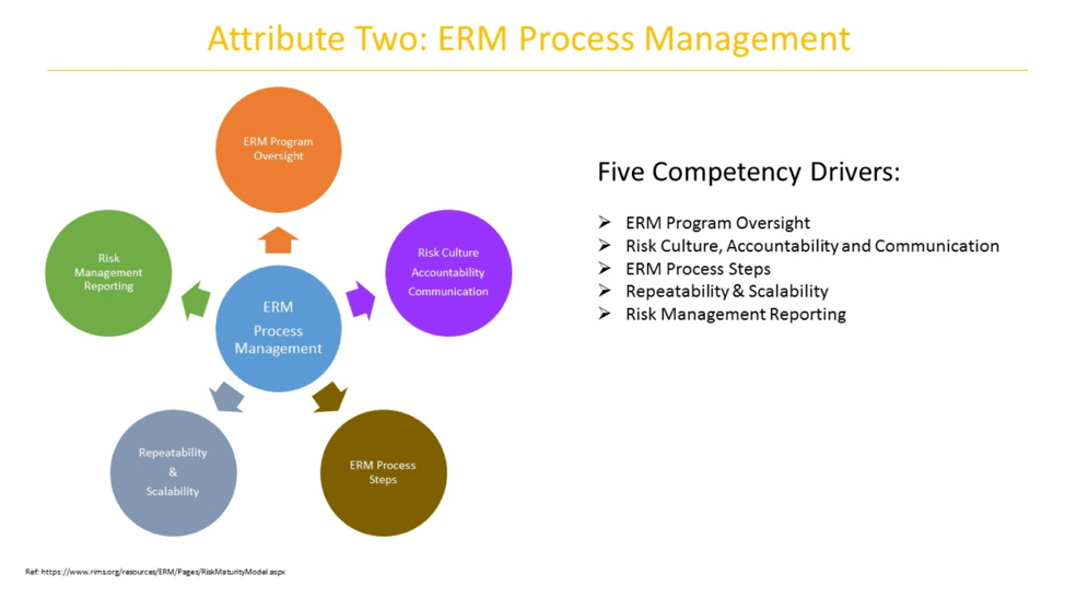 196 DECODING THE RIMS RISK MANAGEMENT MATURITY MODEL PART II JIGNESH PADIA CERM ® RISK