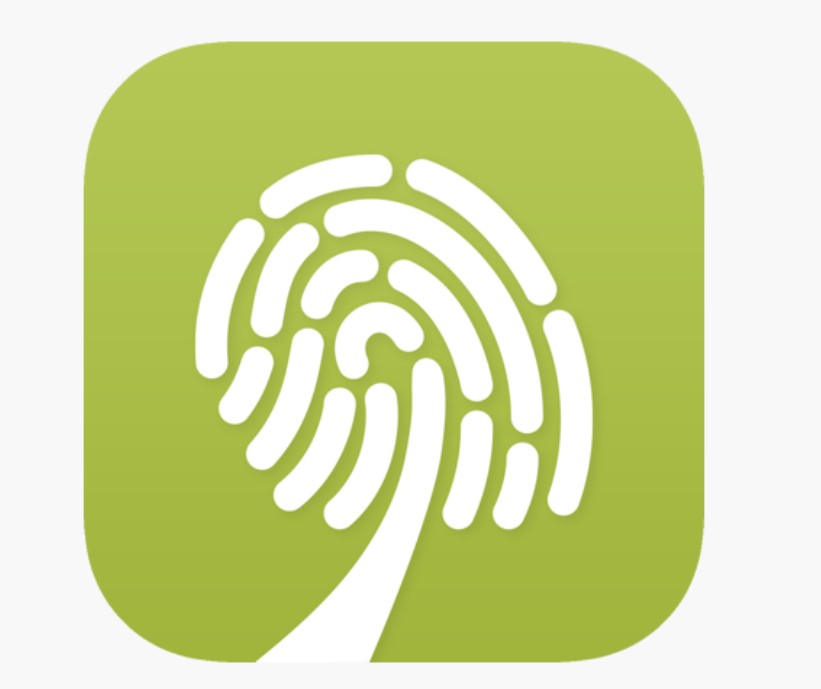 5 best apps to identify wood and timber species InsightWeeds