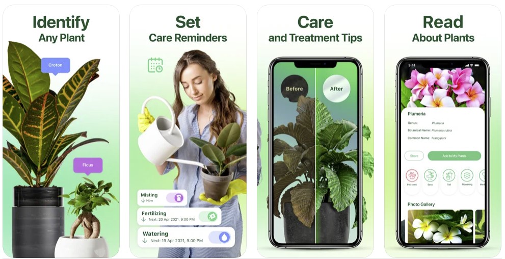 10 best tree identification apps for iOS and Android InsightWeeds