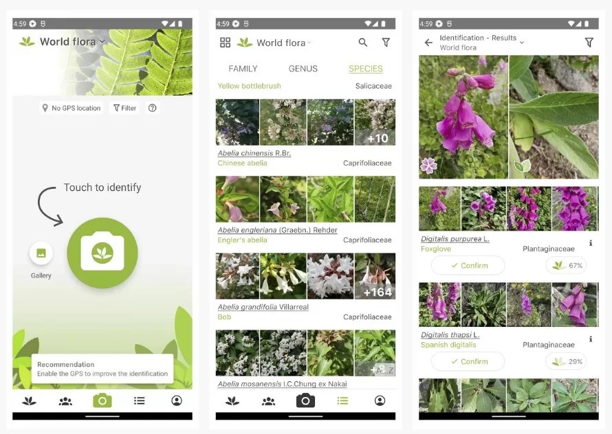 3 best offline plant identification apps InsightWeeds
