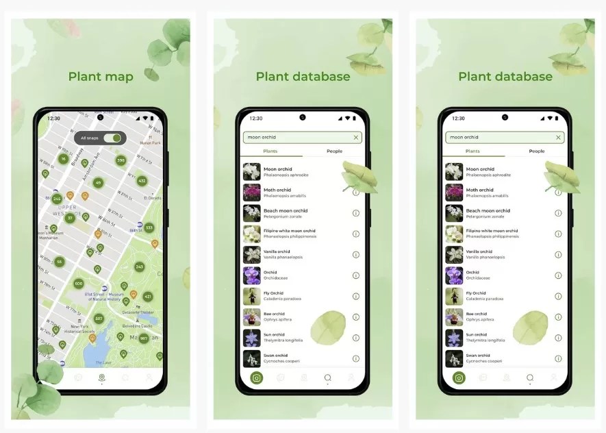 3 best offline plant identification apps InsightWeeds