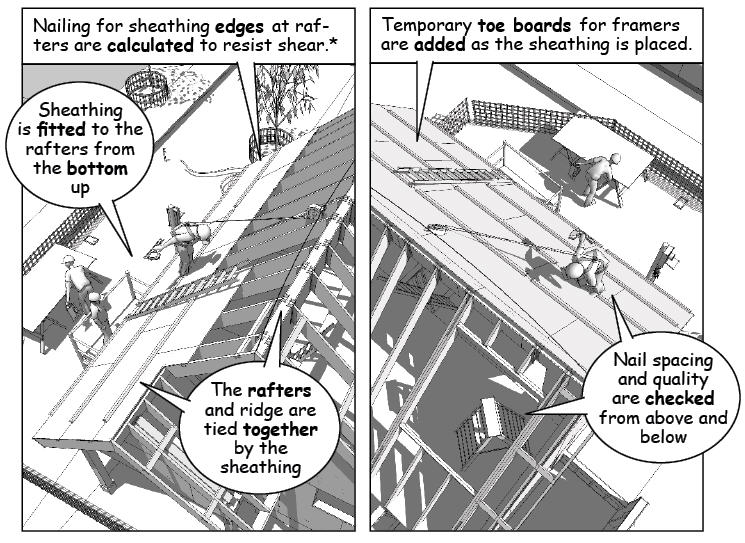 Roof Sheathing Nail Pattern Nail Ftempo