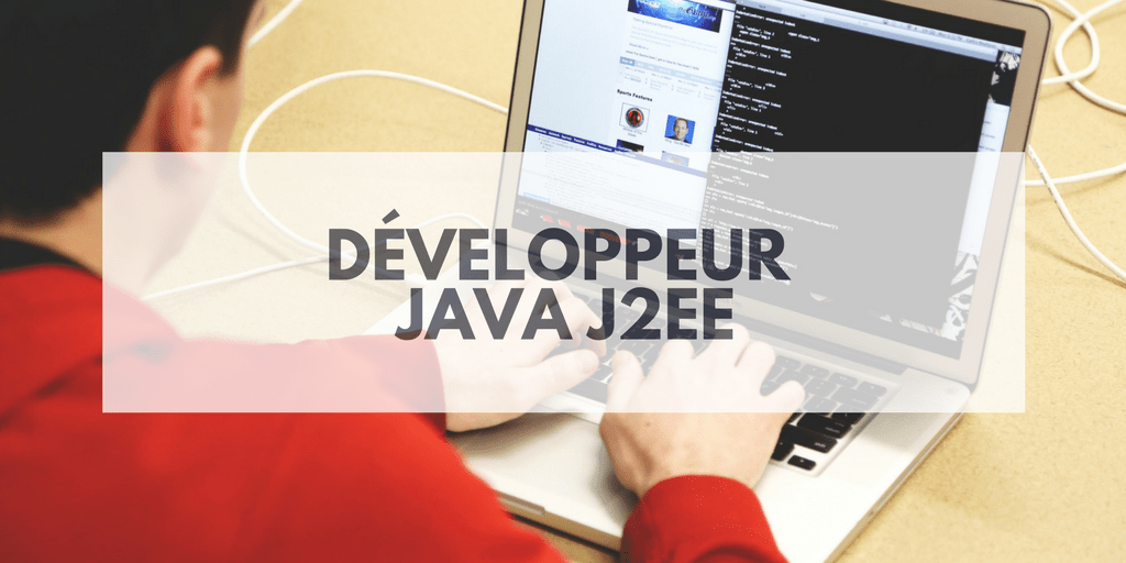Développeur Java J2EE Insitoo Lille Mission Freelance