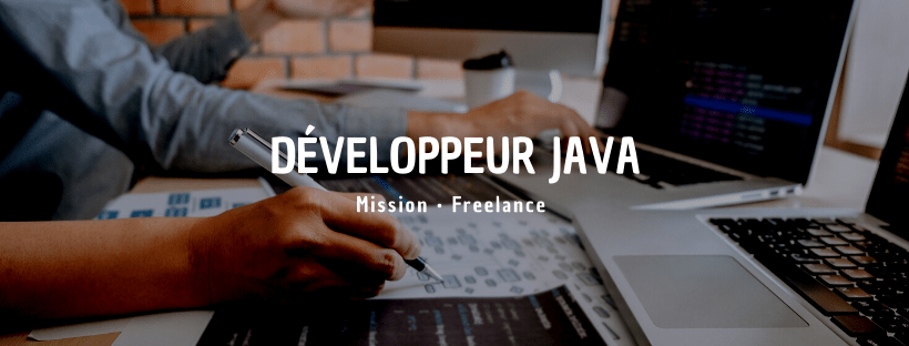Développeur Java (H/F) Insitoo Lyon Mission Freelance