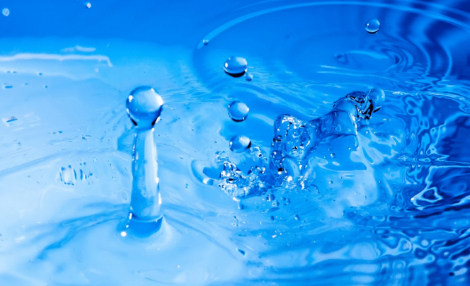 Pour l'AMF, l'eau ça mouille et le feu ça brûle... Insolentiae