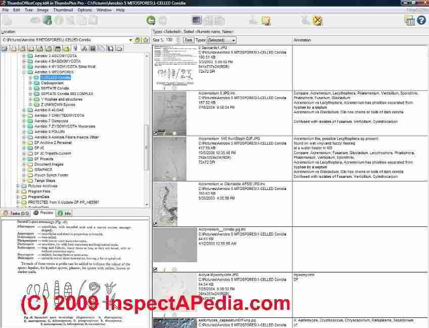 Digital Photograph Database Design, Organization, Maintenance Suggestions