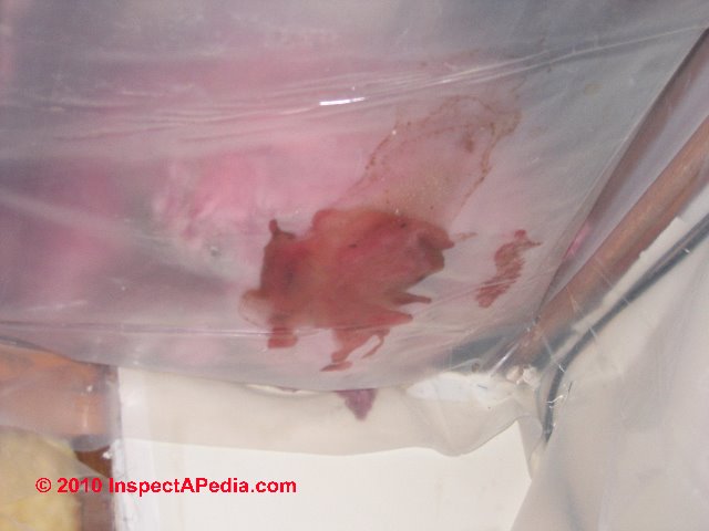 Crawl Space Moisture Barrier Placement Guide (640 x 480 Pixel)