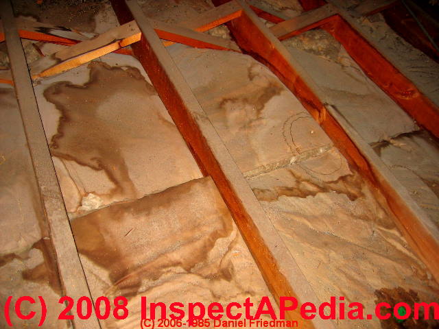 Inspect the Attic or Roof Cavity for Signs of an Ice Dam Leaks, Under