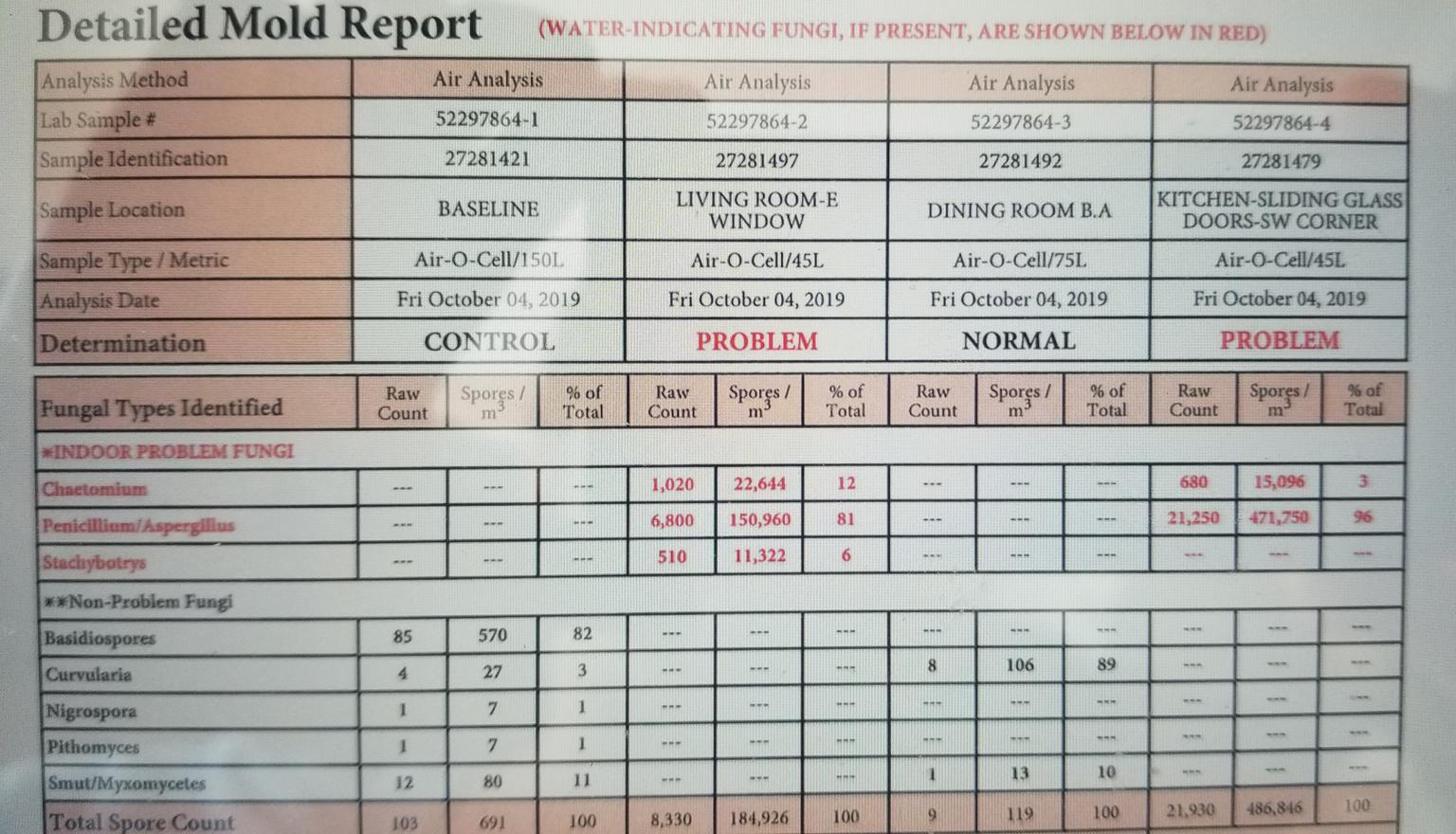 Airborne Mold Count FAQs 6 Dangerous Levels of Mold Contamination