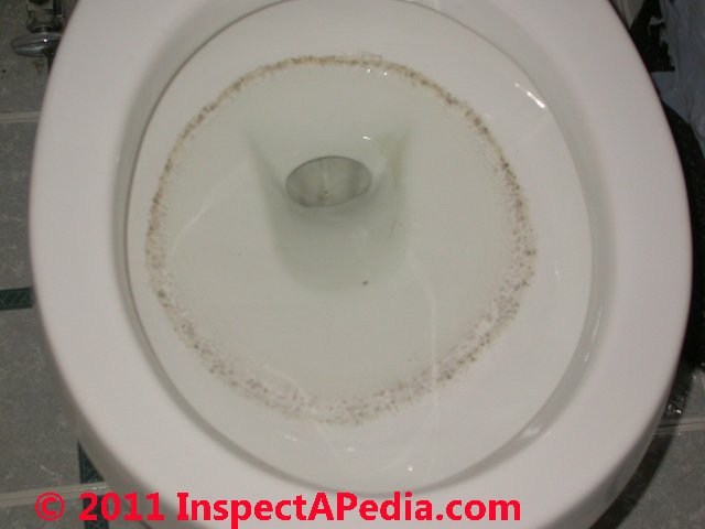 Mold on plaster ceilings & walls, mold on plastic surfaces, mold on