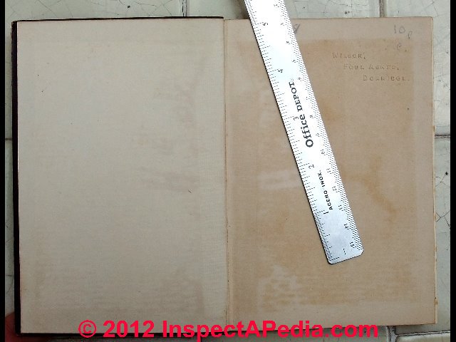 How do you get mold out of paper money 650.org