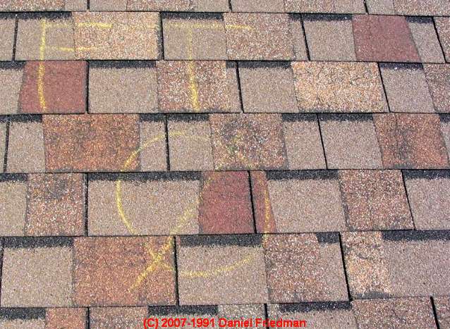 Asphalt Roof Shingle Storm or Hail Damage Identification photos Hail
