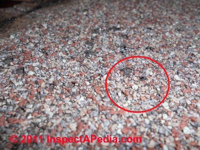 Roof Hail Damaged Asphalt Roof Shingles Distinguished from